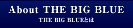 THE BIG BLUEとは